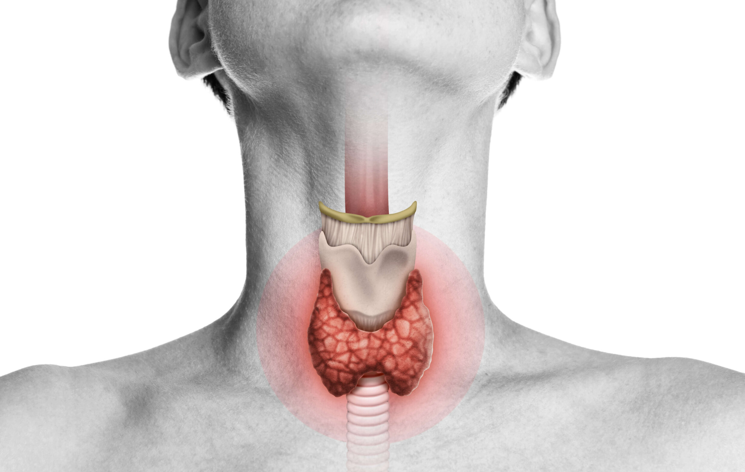 Natura sanat thyroid health formula: натуральное решение для оптимальной работы щитовидной железы