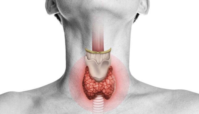 Natura sanat thyroid health formula: натуральное решение для оптимальной работы щитовидной железы